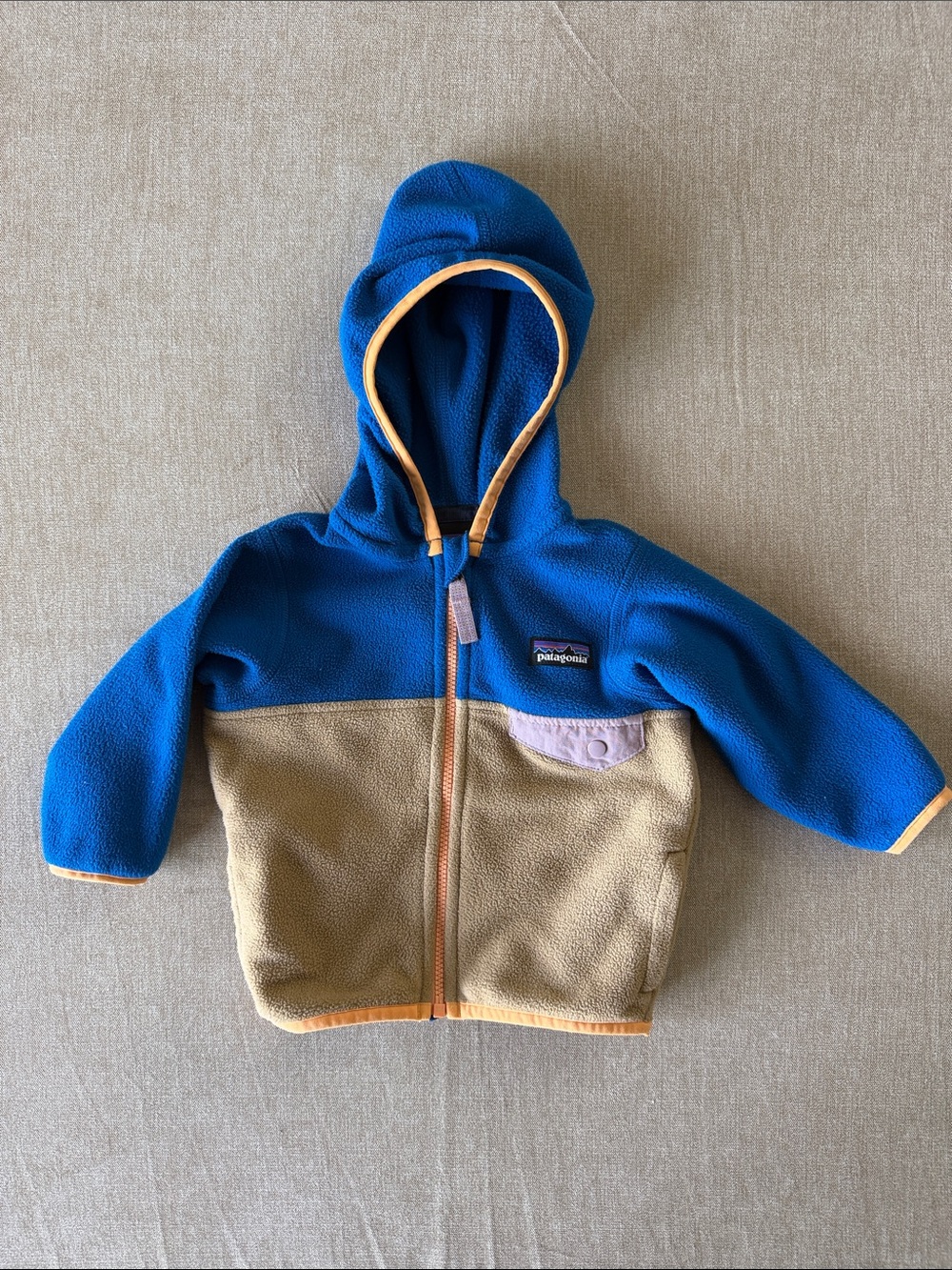 Patagonia Micro D Snap-T Jacket